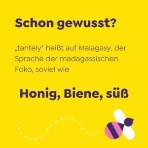 herkunft-tly-e1640174157505